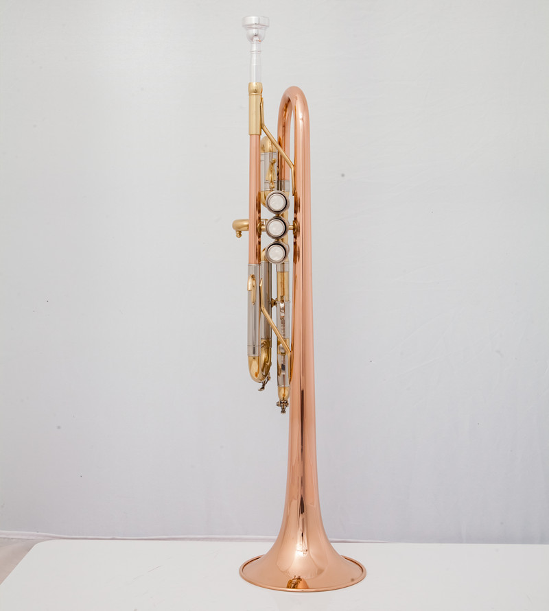 Professional C Trumpet  Music  - Musical Instrument Bugle review and price